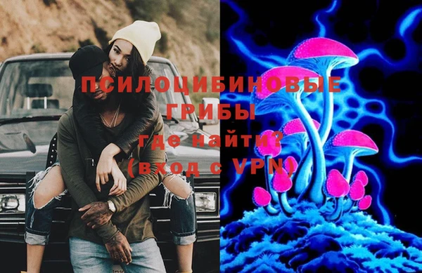ГАЛЛЮЦИНОГЕННЫЕ ГРИБЫ Беломорск