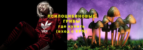 ГАЛЛЮЦИНОГЕННЫЕ ГРИБЫ Беломорск