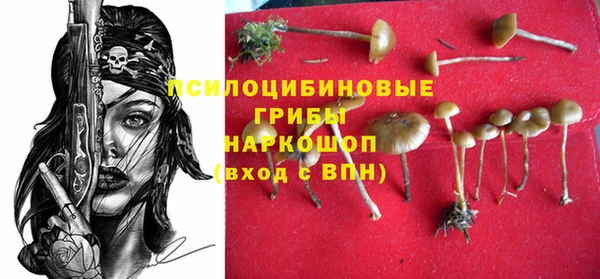 кокаин Белокуриха
