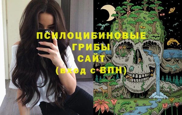 кокаин Белокуриха