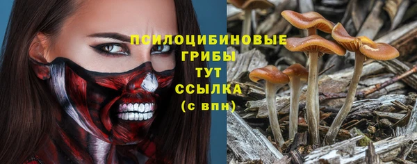 ГАЛЛЮЦИНОГЕННЫЕ ГРИБЫ Беломорск