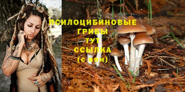 кокаин Белокуриха